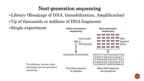 DNA Sequencing Methods 的图像结果