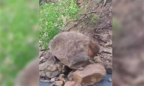 Inter-state vehicle movement between TN and K’taka disrupted due to mud ...