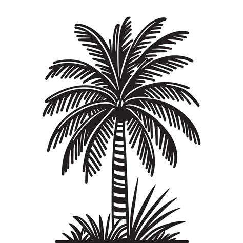 Coconut Tree Clip Art Black And White