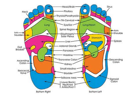 Foot Reflexology Klcc at Karin Wright blog