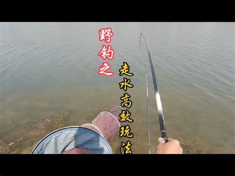钓鱼，什么是闷竿钓法？这是一种急流走水钓鱼的最好方法 - YouTube