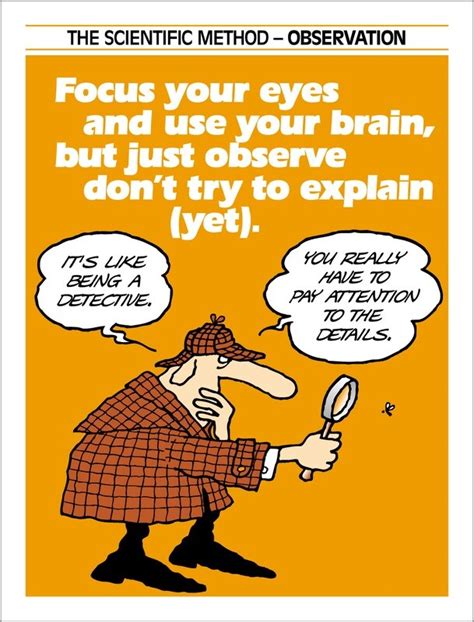 Image result for Scientific Method Observation Variable