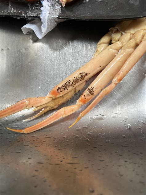 Are these bugs/bug seeds on my store bought crab legs?? : r/Fishing