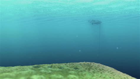 Image result for Finding Nemo Part 5 Drop Off