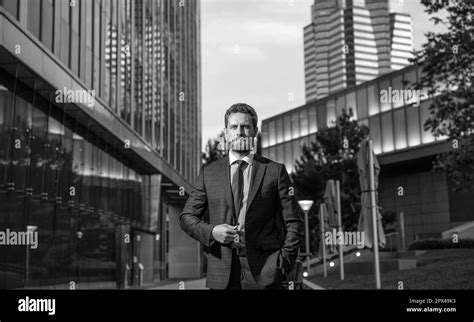 Confident Business Person 的图像结果