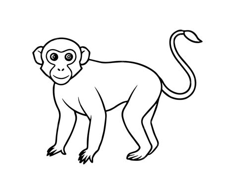 Image result for Www.Line6.com Monkey