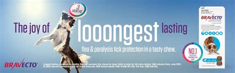 Offers the best long protection from ticks & fleas - Bravecto — Ofypets