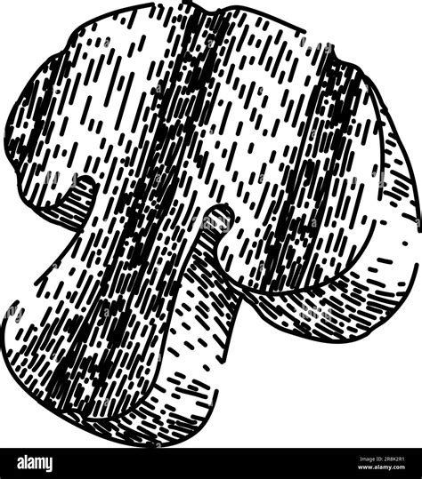 mushroom grilled vegetables sketch hand drawn vector Stock Vector Image ...