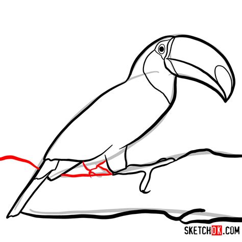 How to draw a Toucan | Birds - Sketchok Easy Drawing Guides