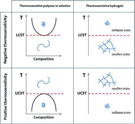 Fig. 3: Thermosensitive behaviors of polymers in solution and hydrogels ...