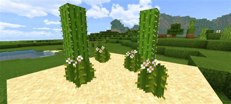 Minecraft Java Real Foliage 的图像结果