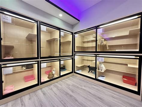 11 Pet Hotel In KL And Selangor That Are Perfect For Your Furbabies ...