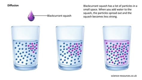 Water Diffusion 的图像结果