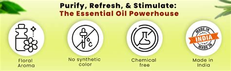 Soulflower Rosemary Essential Oil & Eucalyptus Essential Oil for Hair ...