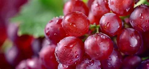 Tiny But Mighty: The Remarkable Health Benefits Of Grape Seeds