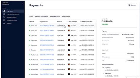 Image result for Scripting JavaScript Adyen