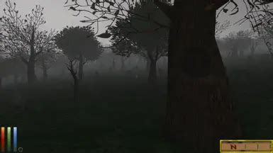 Image result for Daggerfall Unity 3D Trees