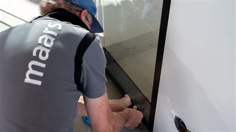 Modular Biotech 的图像结果