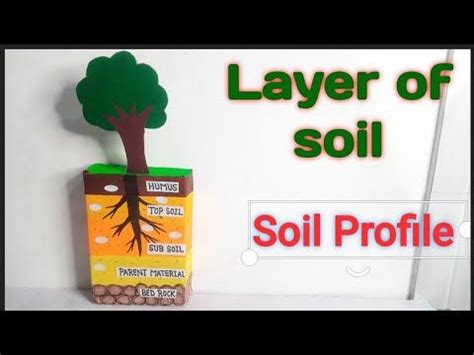 Soil Layers Science Project 的图像结果