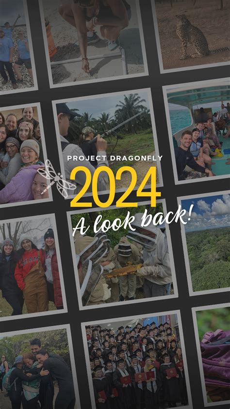 Image result for Look Back 2024