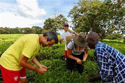 Explore Uganda - Fort Portal | Tripadvisor