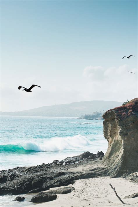 Best Beaches In Los Angeles