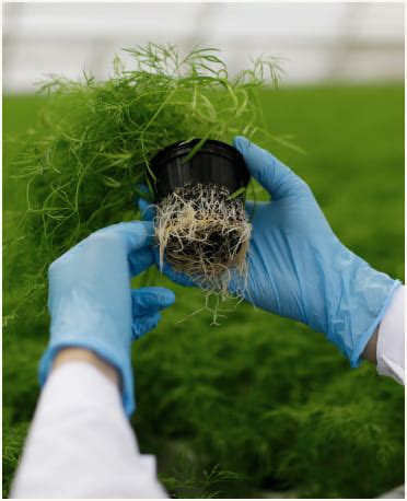 Research and Development | Oltas