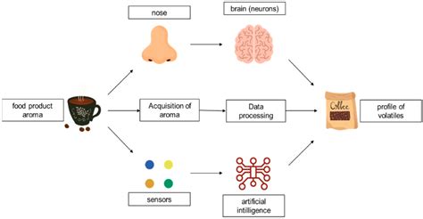 Analysis of Volatiles in Food Products
