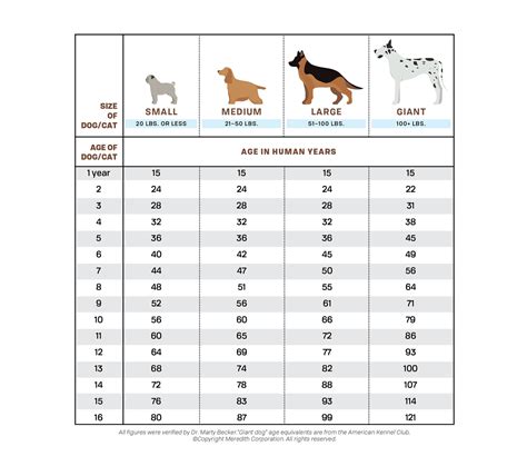 Dog Growth Rate Chart