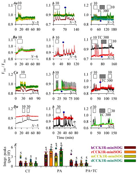 Photodynamic Activation of Mammalian and Avian Cholecystokinin Type 1 ...
