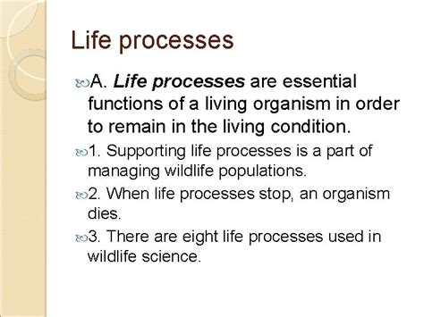 Image result for Life Process Explained