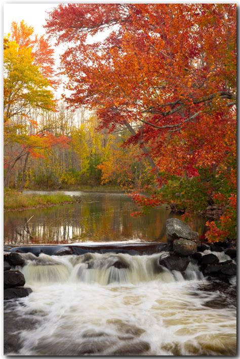 Image result for Local 2021