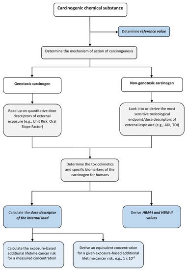 Concept for the Evaluation of Carcinogenic Substances in Population ...