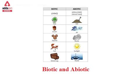 Biotic and Abiotic Factors, Examples & Differences