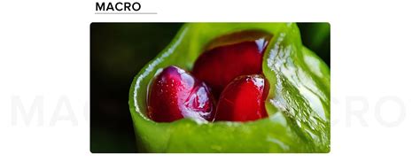 Redmi Note 10 的图像结果