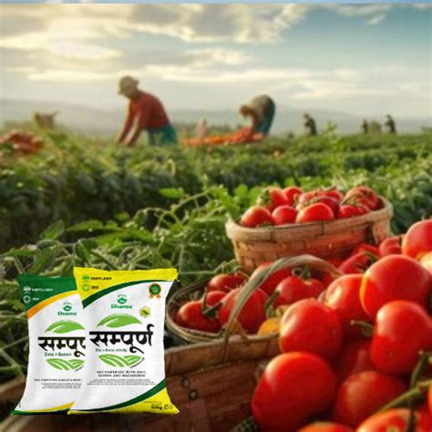 RAMA PHOSPHATES LIMITED