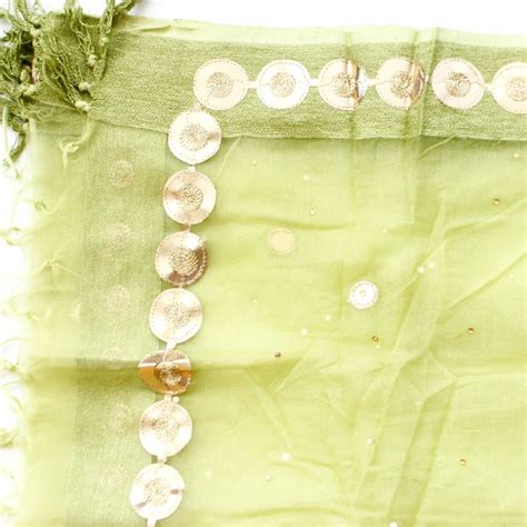 Pista Gotta Embroidered Organza Dupatta – anokherang