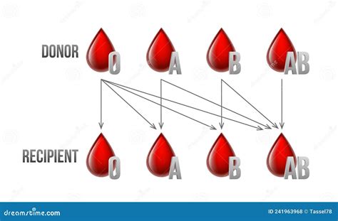 Receptor Y Donante. Tipos De Sangre a. Ilustración del Vector ...