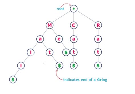 Trie Tree Technology Linux Tutorial 的图像结果