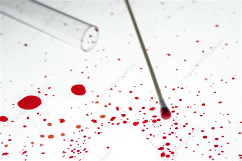 Image result for Evidence Collection Free Pictures