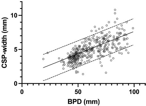 Prenatal cavum septi pellucidi width and short-term developmental outcome - American Journal of ...