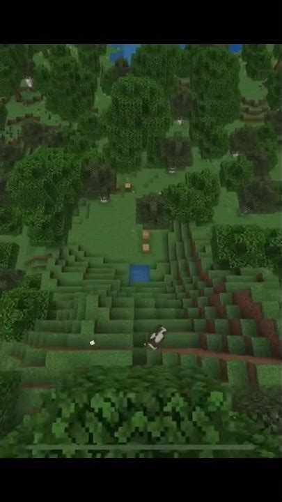 Image result for Fastest Loop Minecraft