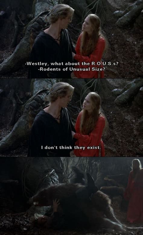 Image result for Princess Bride Rodents