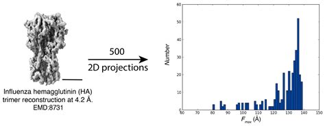 CryoEM Workflow Acceleration with Feret Signatures