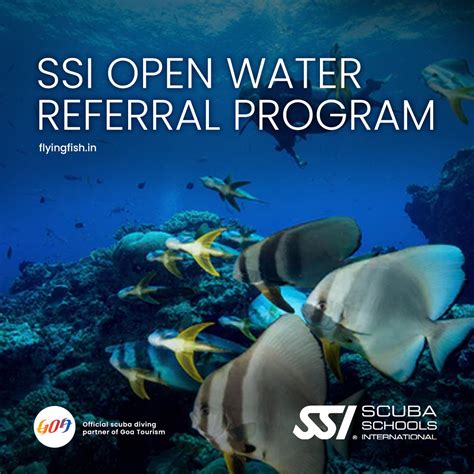 Road to DiveMaster Bundle | Flying Fish Scuba Diving in Goa, India ...