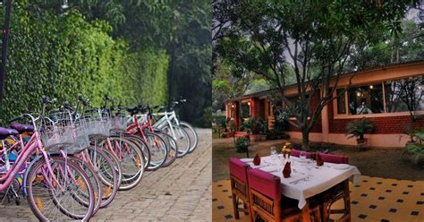 Book A Stay At Baghaan Orchard Resort Close To Delhi | WhatsHot Delhi Ncr