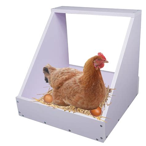 Buy Nesting Box for Chickens Chicken Laying Boxes Hen Laying Box ...