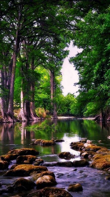 Simple Nature 的图像结果