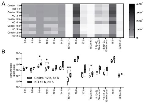 Metabolome Characteristics of Liver Autophagy Deficiency under ...