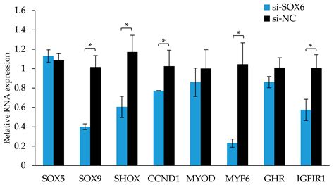 Copy Number Variation in SOX6 Contributes to Chicken Muscle Development